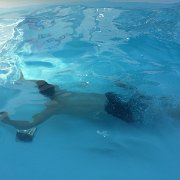 IMG 3612