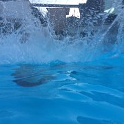 IMG 3789
