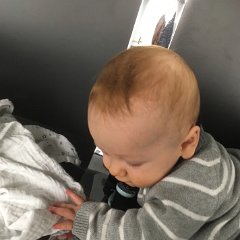 IMG-008