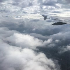 IMG-025