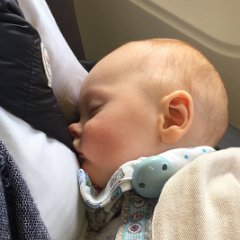 IMG-031