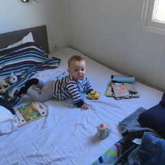 IMG-082