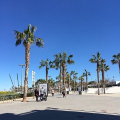 IMG-154