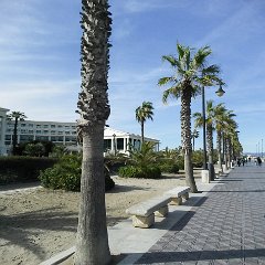 IMG-182
