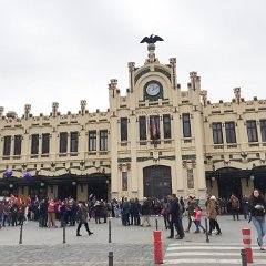 IMG-223