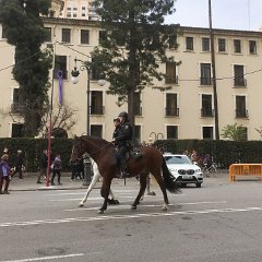 IMG-226