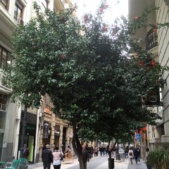 IMG-228