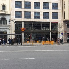IMG-231