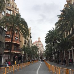 IMG-233