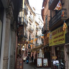 IMG-238