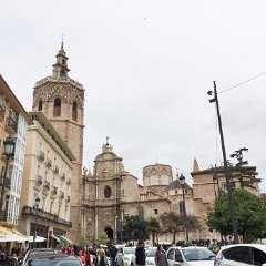 IMG-245