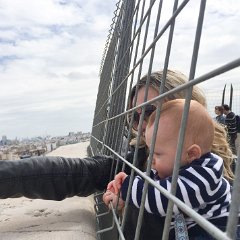 IMG-267