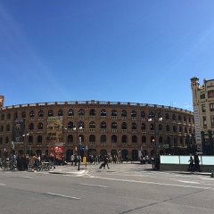 IMG-289