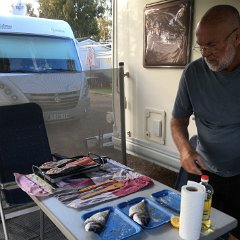 IMG-290