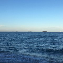 IMG-317
