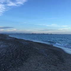 IMG-318
