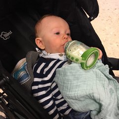 IMG-323