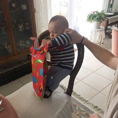 IMG-335