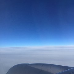 IMG-345