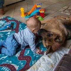 IMG-093