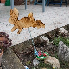 IMG-001