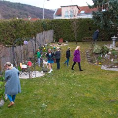 IMG-006