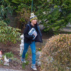 IMG-010
