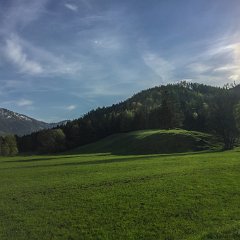 IMG-015