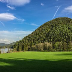 IMG-031