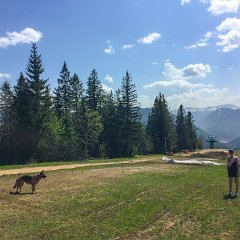 IMG-129