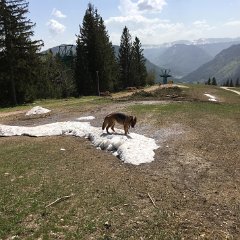 IMG-131