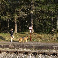 IMG-159