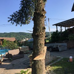 IMG-003