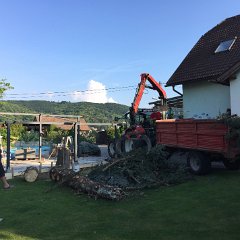 IMG-046